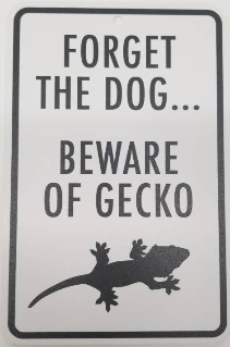 Sign - Beware of Gecko - Gecko Image